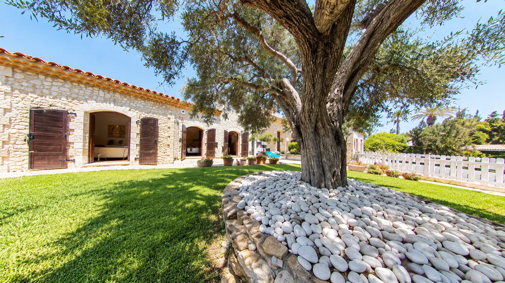 Stone villa with lawn and a mature olive tree in the garden